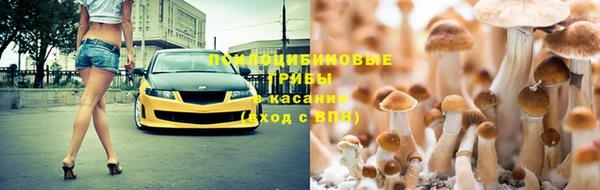 стафф Богородицк